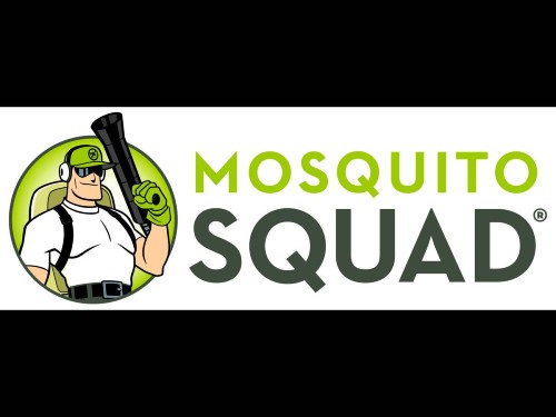 mosquito squad Franchise