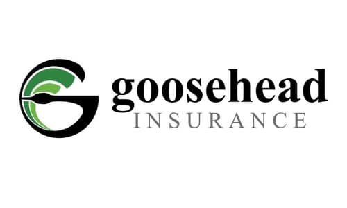 Goosehead Insurance Franchise Opportunities