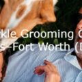 sparkle dog grooming franchise opportunities DFW Dallas-Fort Worth Texas